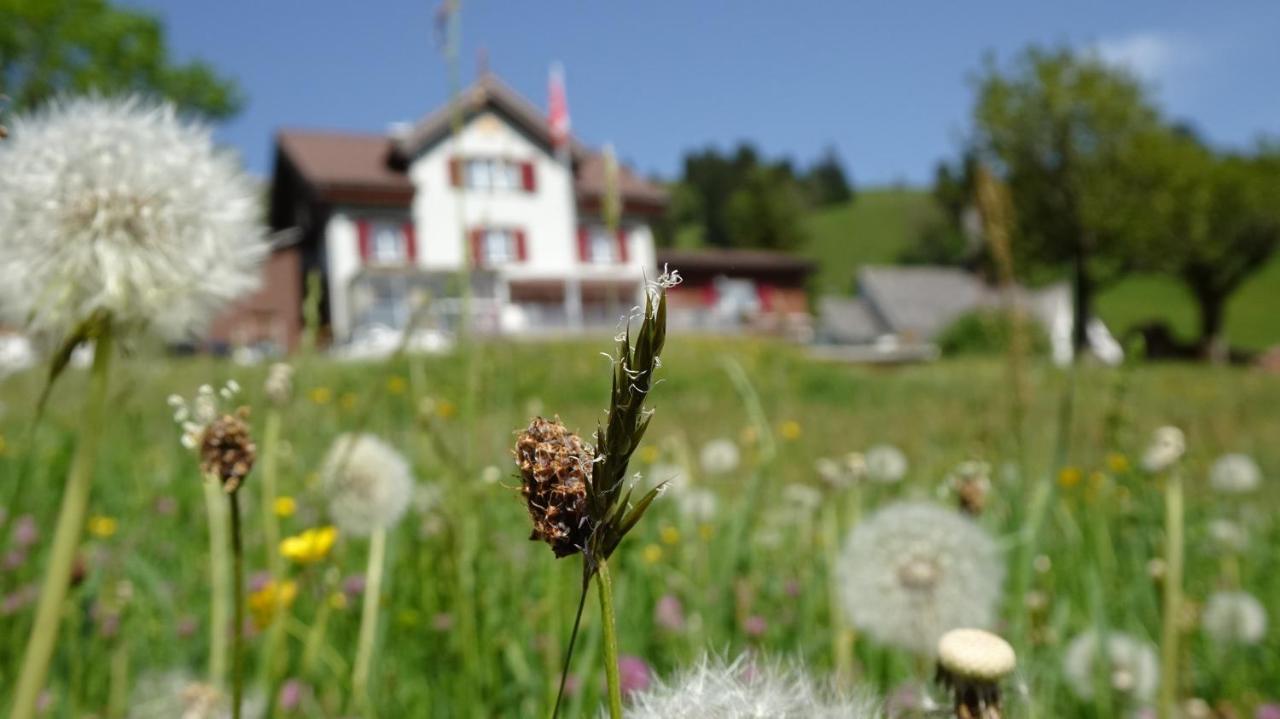 Gasthaus Schwand Енгельберг Екстер'єр фото