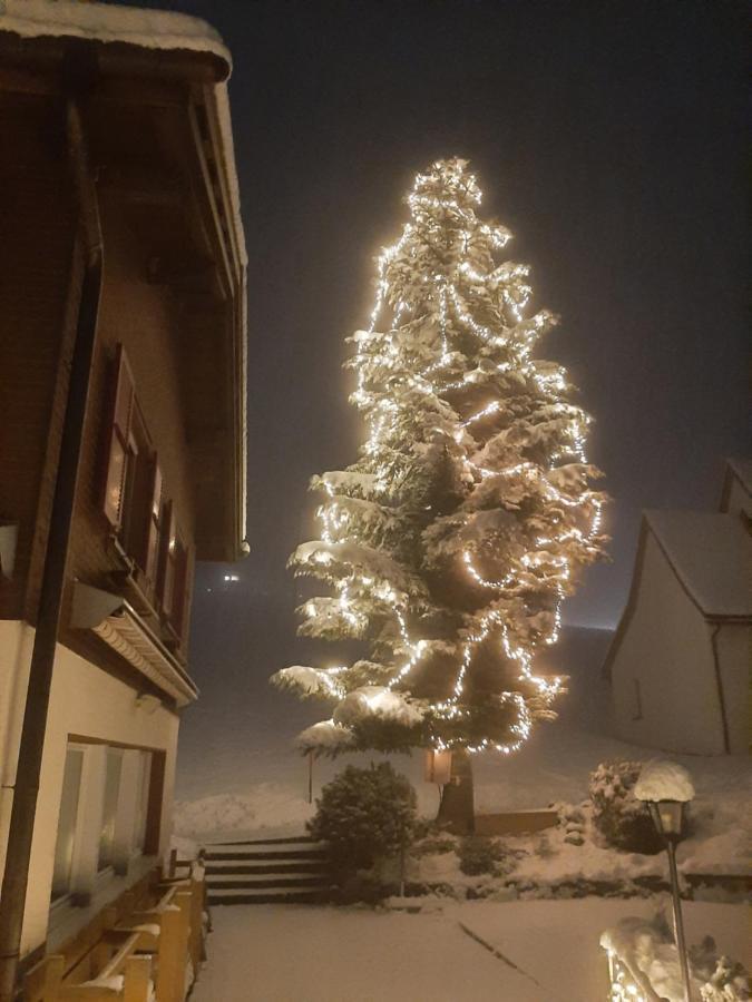 Gasthaus Schwand Енгельберг Екстер'єр фото